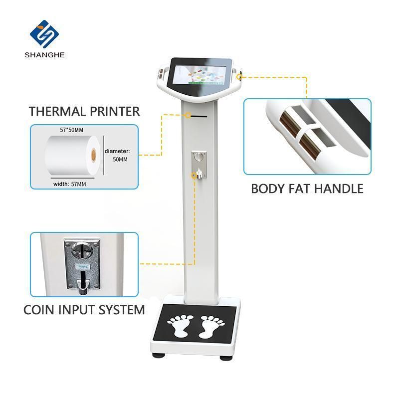 Smart Adult Age Analysis Weight Scale with Printer for Gym