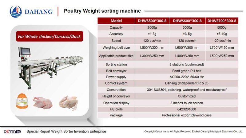 Belt Type Multi-Stage Weight Sorting Machine for Chickens/Poultry
