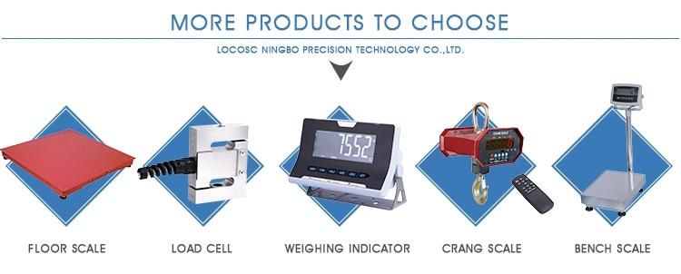 Locosc High Precision Wireless Crane Hanging Scale Manufacture