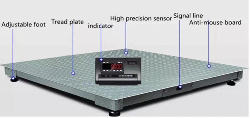 Custom Digital Medium Ground Electronic Industry Scales for Scaleplatform Weight Weighing Cap 3000kg Floor Scale with Ramp