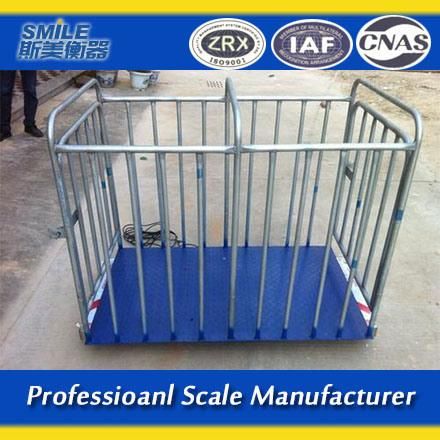 Electronic Animal Big Livestock Platform Scale for Medication