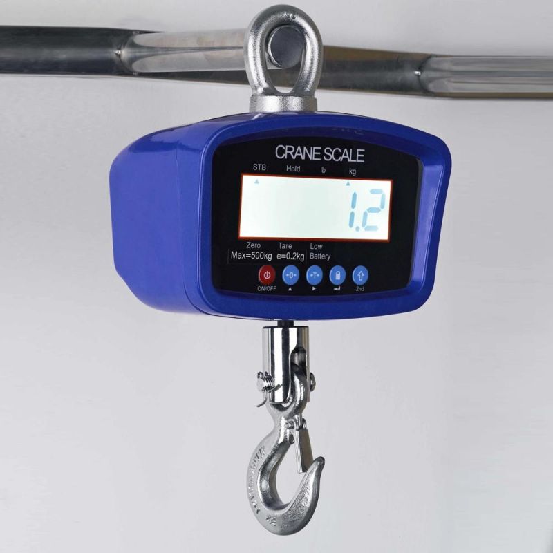 Digital Hook Crane Scale 200kg 300kg 500kg with Factory Price