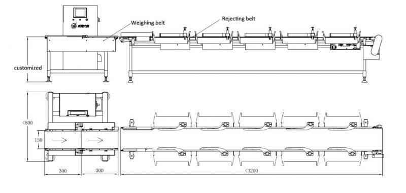 Frozen Abalone Weight Sorter Machine