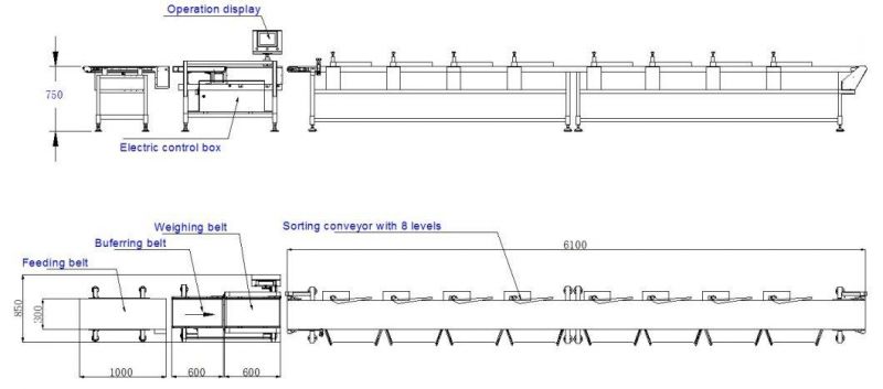 High Accuracy Weight Grader Machine