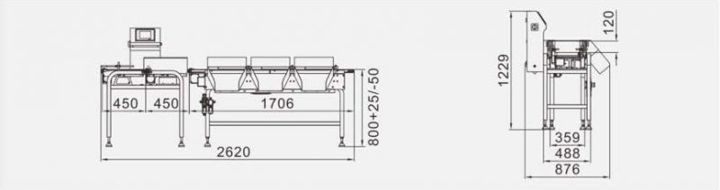 Jw-C1000 Check Weigher Machine for Weighing Fruit Weight Sorting Machine