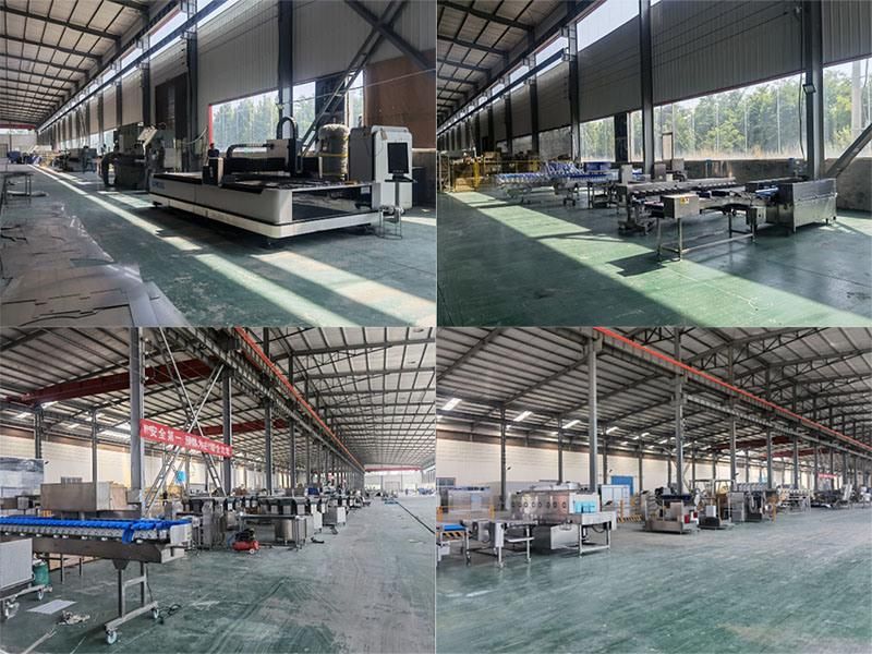 Belt Checkweigher Fish Fillet Weight Sorting Machine