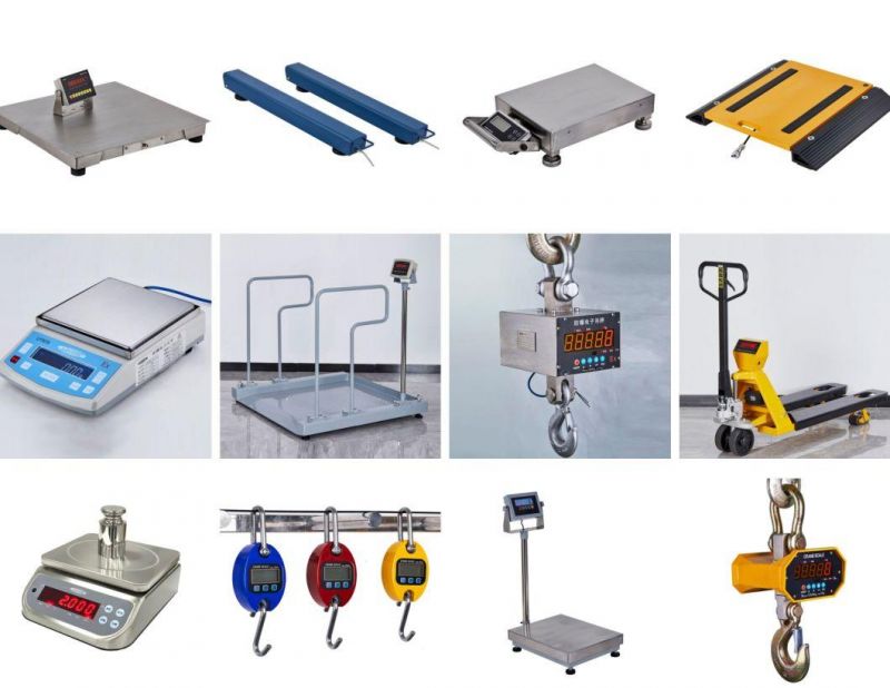 Ce Wireless Hook Digital Hanging Electronic Weighing Ocs Crane Scale 100kg 200kg 300kg 2000kg
