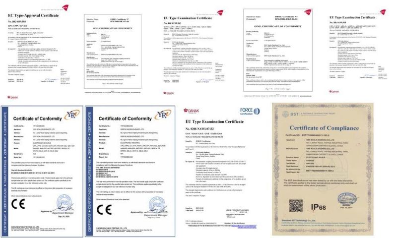 OIML EU Approval Digital Scales Popular Pricing Scales