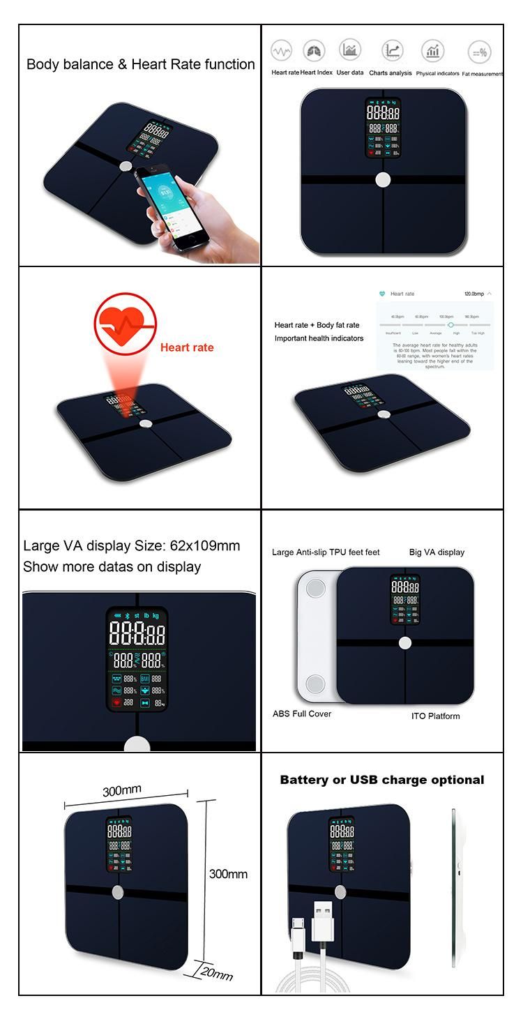 ITO Bluetooth Body Fat Scale with Body Balance