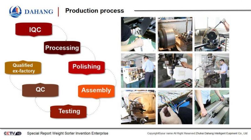 Dynamic Checkweigher for Holothurian and Other Seafood