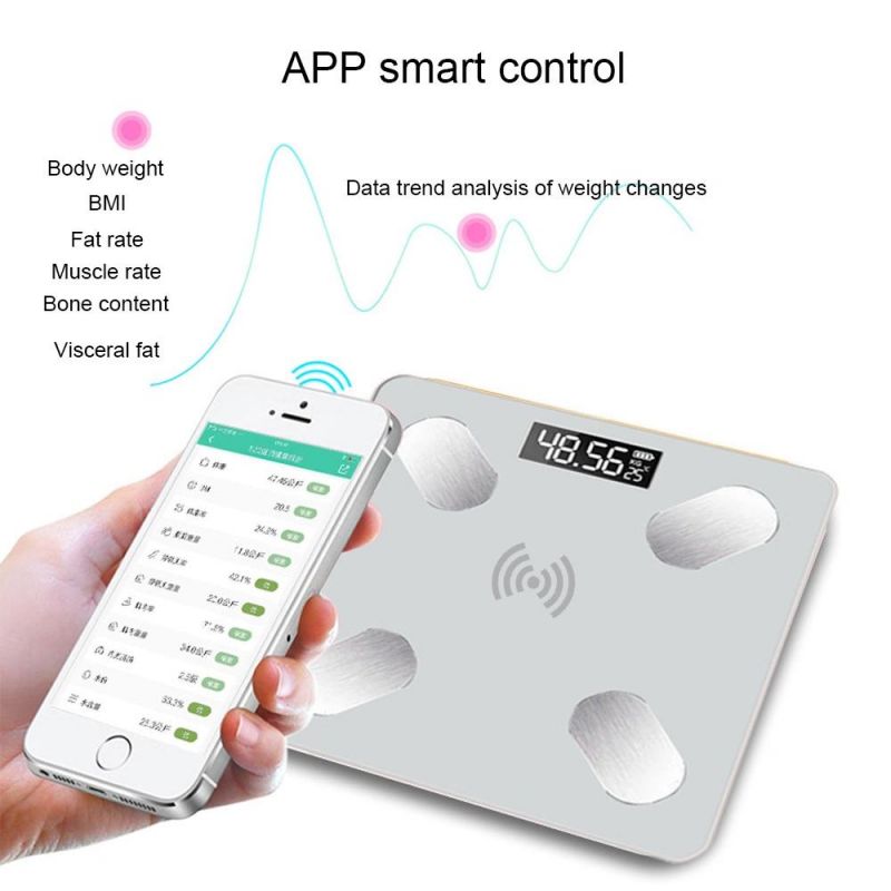 Bl-2601 Digital Body Fat Scale Custom Factory Direct