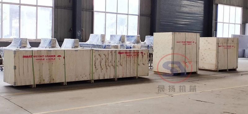 Belt Checkweigher Fish Fillet Weight Sorting Machine