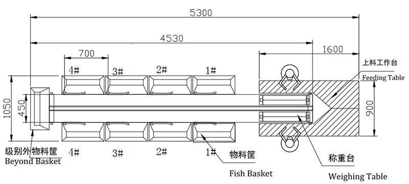 Whole Salmon Grading System Fish Weight Graders for Sale