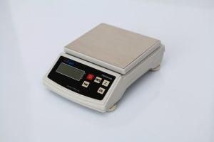 Pads &amp; Vehicle Platform Scales Pad Control Weighing Devices Caravan Weight Scale