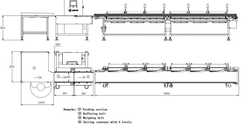 Dhws400*200-8 Weight Sorter and Classifier for Oysters