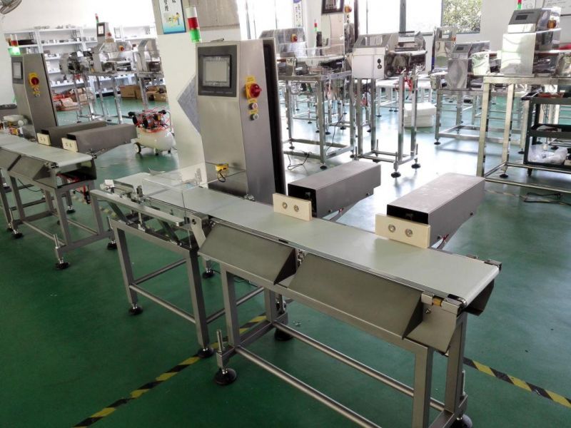 High Precision Snacks Weighing Scale Check Weigher for Packing Line