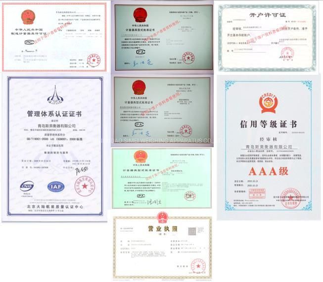 SUS304 Structure Forklift Scale and Pallet Scale Wholesale