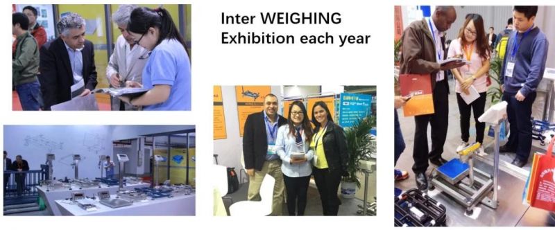 1000kg Electronic Ocs Hanging Weighing Scale 3t 10t 20t 30t
