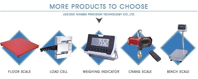 Digital Hook Crane Scale 200kg 300kg 500kg with Factory Price