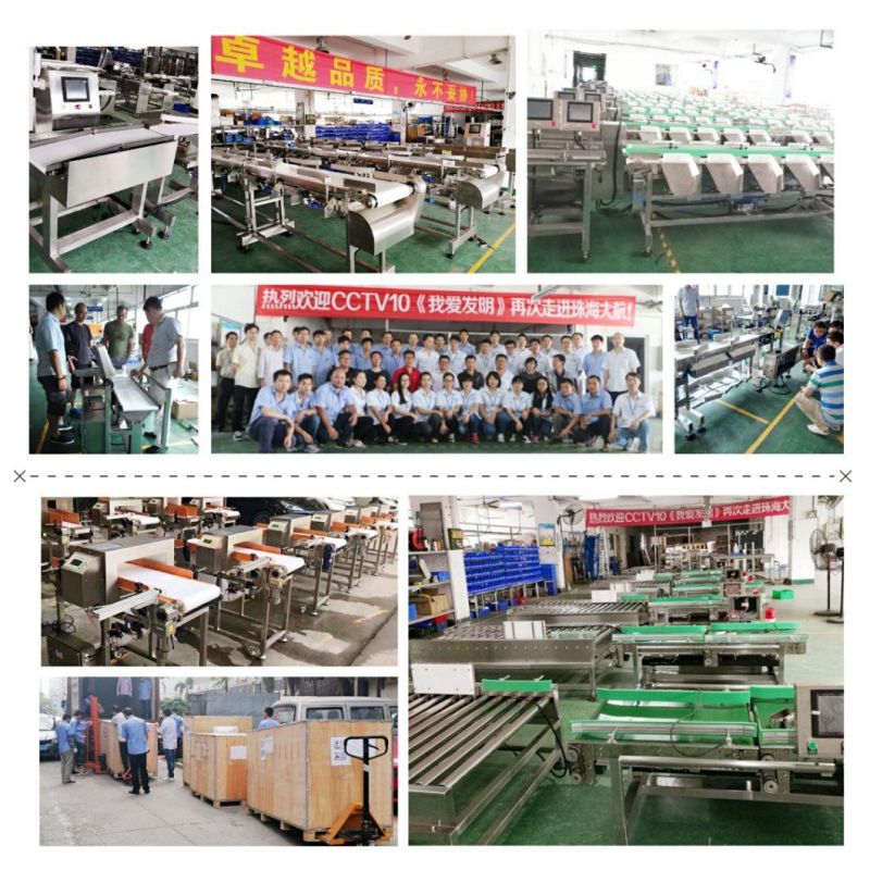 Checkweigher Type Weight Sorter Machine for Seafood and Fish