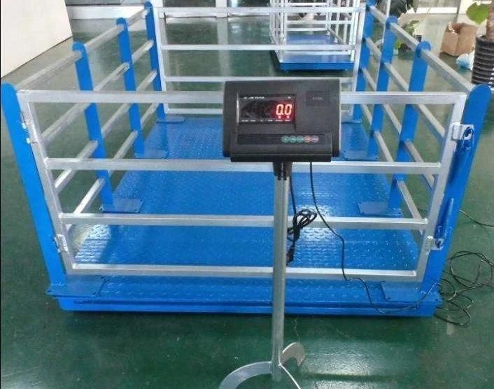 1000kg New Design Electronic Cattle Pig Cow Animal Floor Weighing Scale