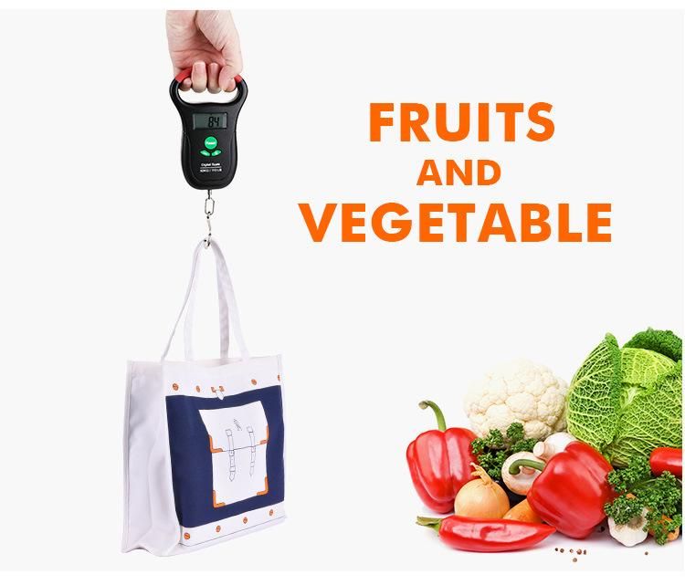50kg Electronic Digital Multifunctional Fishing Travel Luggage Scale