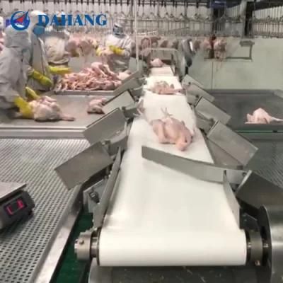 Whole Chicken Weight Sorting Machine Using in Vietnam / Indonesia
