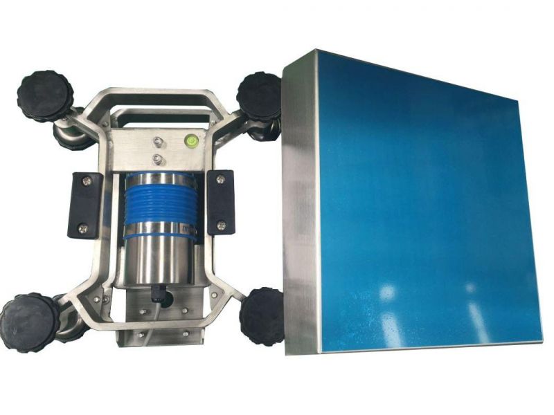 Professional Chinese Supplier Industrial Digital Weighing Scales 200kg