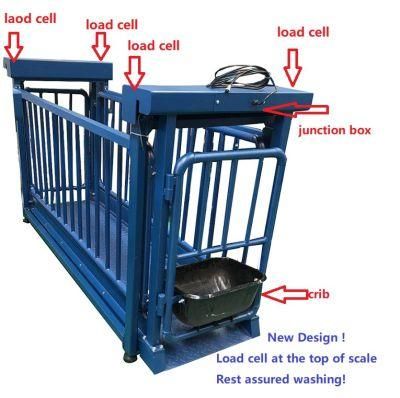 China Suppliers 5 Ton Used Electronic Digital Livestock Animal Pet Platform Scales Cattle Weighing Scales for Pig