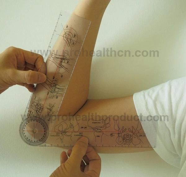 Bevel Protractor Angle Degree Measuring Tools Plastic Medical Goniometer Ruler