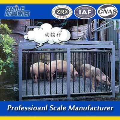 Electronic Weighting Scales Animal Scales with Digital Display