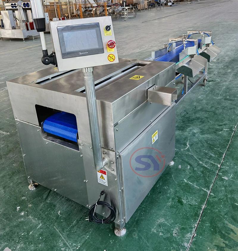 Fish Fillet Belt Conveyor Check Weigher