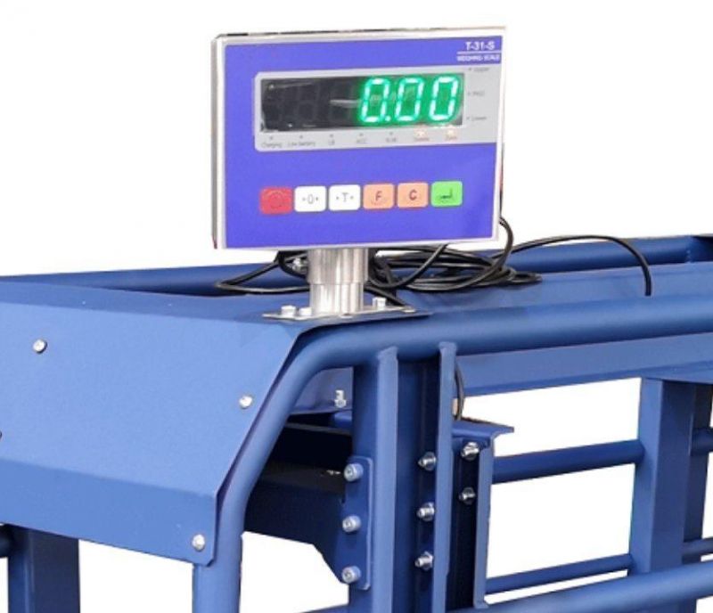 Livestock Weigh Scale Display Indicator Weighing with Label