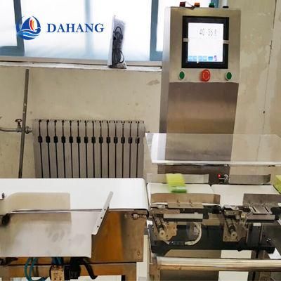 Auto Check Weigher and Checkweighing System for Food Pack