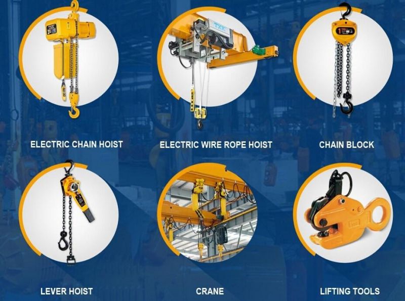 Heave Duty Electronic Crane Scale with Ce Certificate