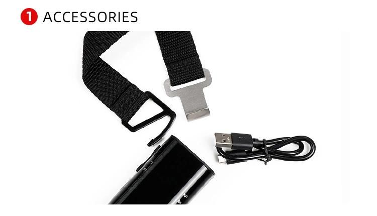 Portable Electronic Digital Luggage Scale with Powerbank