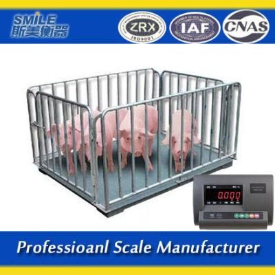 3tons 1.2*1.2m Digital Weighting Scales Electronic Animal Scales with Easy Weight