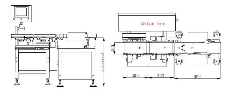 Automatic Check Weigher with High Accuracy