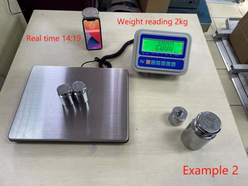 Alibi Digital Scales Indicator with SD Card and Reader