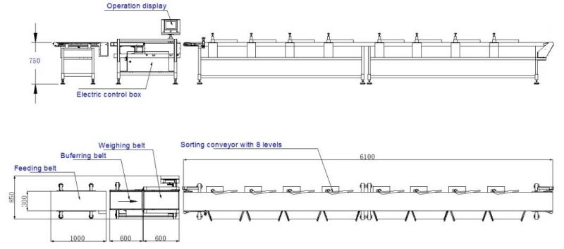 Customized Chicken Weight Sorting Machine with Waterproof Protection