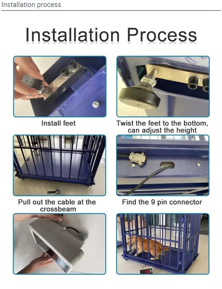 a Digital Weighing Animal Cattle Scale for Animals with Different Materials to Choose