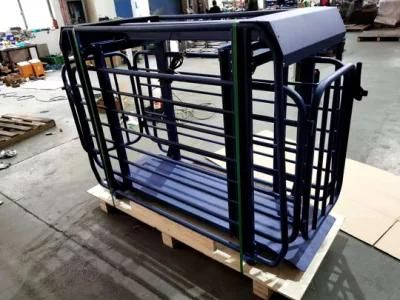 Scale Cattle Cattle Squeeze Chute Electronic Cow Scale