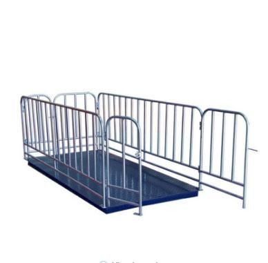 2*1.5m Clever Electric Weighing Platform Scale for Animals 1000kg