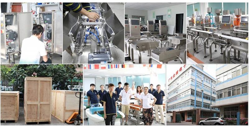 High Precision Food Industrial Conveyor Belt Auto Weighing Scale/Weight Checker/Checkweigher