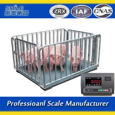 2*1.5m Clever Electric Weighing Platform Scale for Animals 1000kg