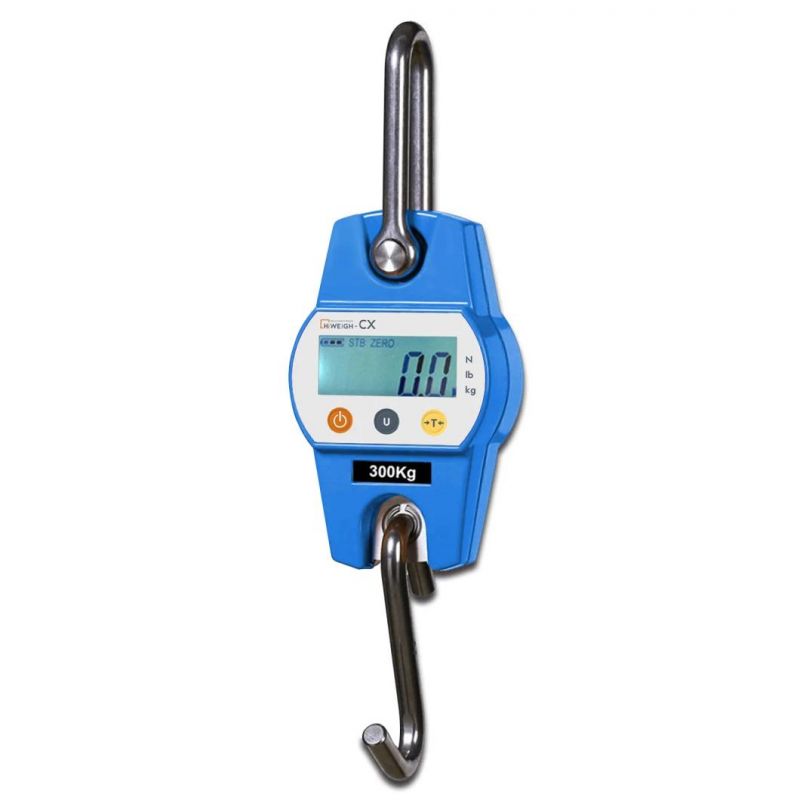 Portable Mini Electric Hanging Crane Weighing Scale 300kg