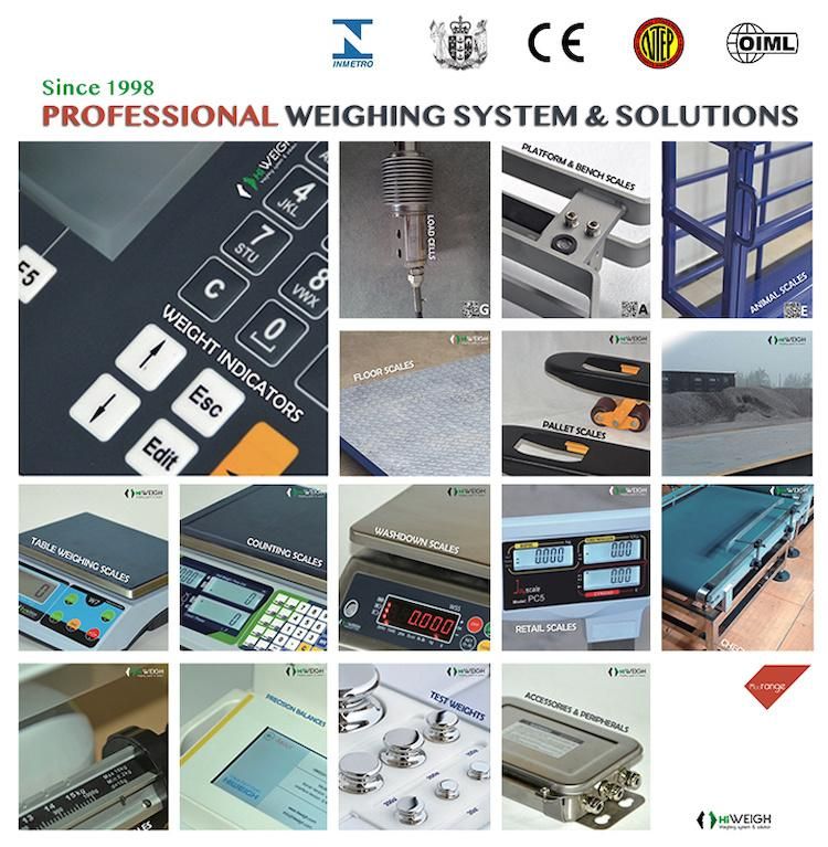 60X80 600*800 Large Platform 500kg Electronic Weighing Platform Scales