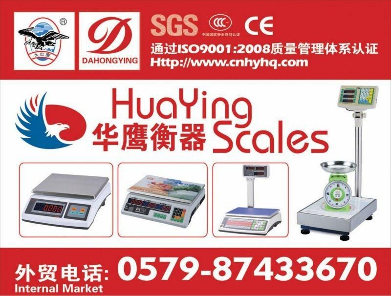 Electronic Stainless Steel Floor Plateform Scale
