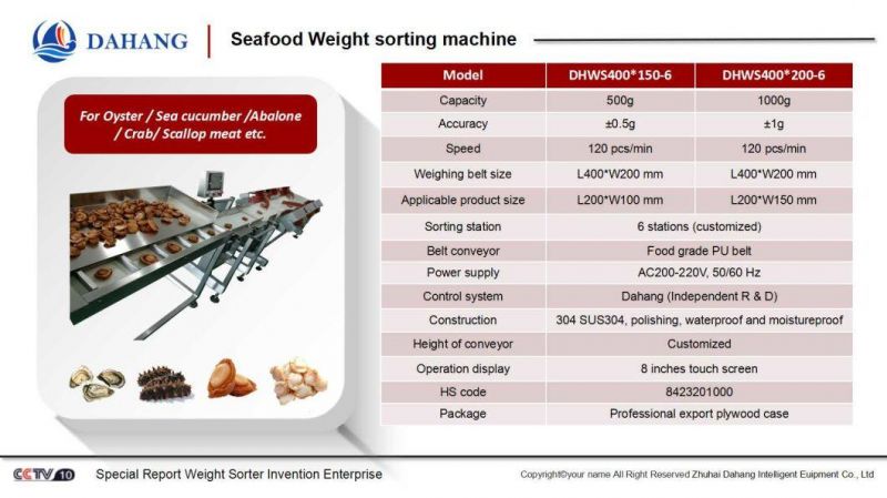 Checkweigher Type Weight Sorter Machine for Seafood and Fish