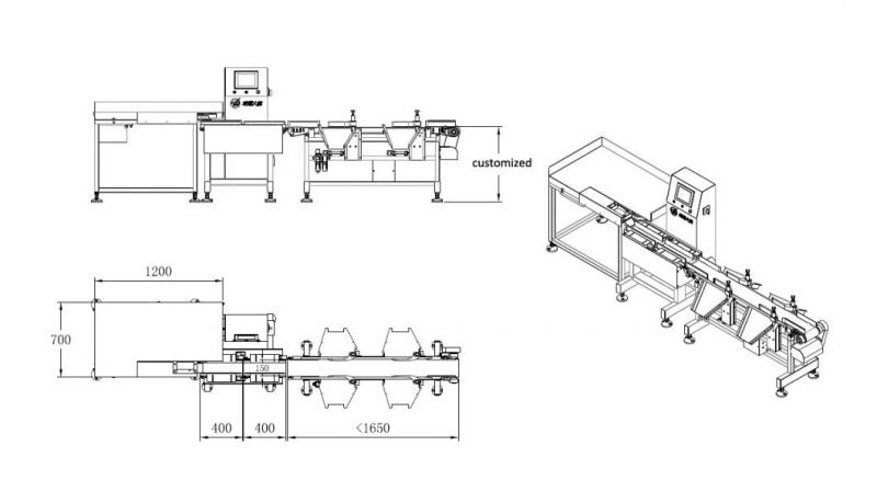 Sea Cucumber Automatic Feeding and Weight Sorting in Seafood Factory